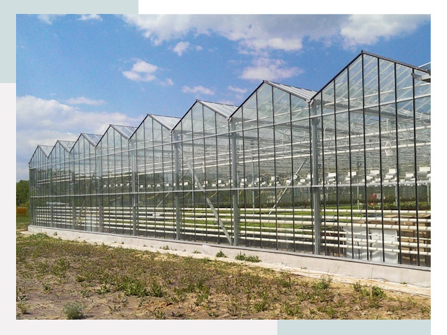 Строительство теплиц в Богородицк от 641 руб. за м²