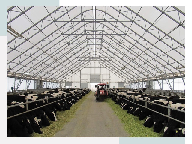 Тентовые коровники в Богородицке от 641 руб. - Надежно и доступно